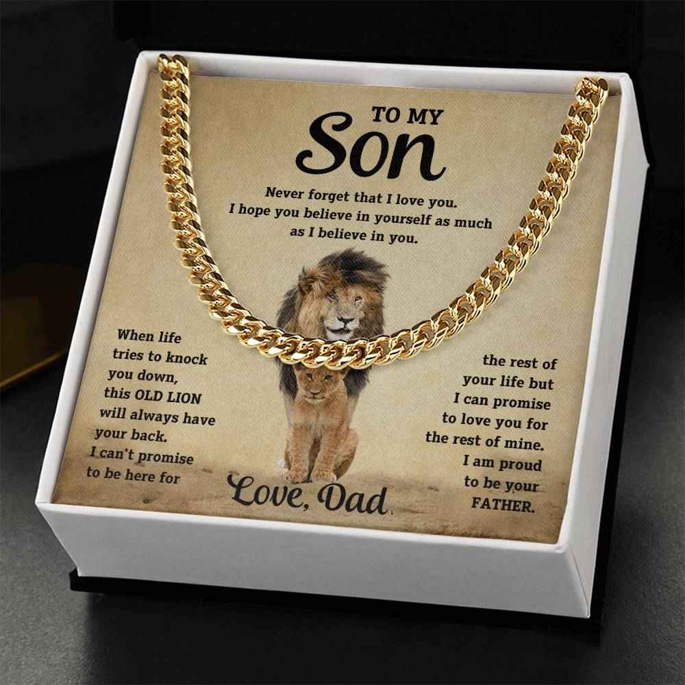 To My Son, Never Forget That I Love You